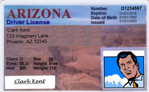 arizona drivers license check